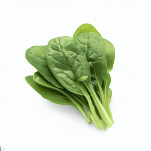 ผลิตภัณฑ์สมุนไพรสดจากผักโขมออร์แกนิกระดับพรีเมียม: คัดสรรแล้วปลูกตามธรรมชาติคุณภาพสดในฟาร์ม - Product Image 2