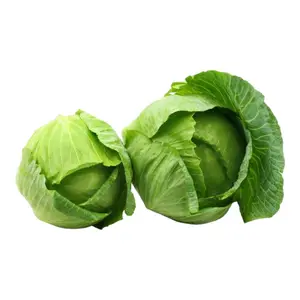 Exporting Top-Grade Fresh Cabbage