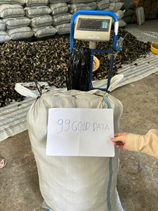 Champignon noir séché Champignon comestible entier pour applications culinaires et commerce Vietnam 99 Gold Data - Ms Violet - Product Image 3