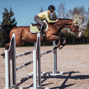 Coussin de selle anglais de haute qualité respirant matelassé doublure douce conception durable pour un confort ultime du cheval et des performances stables - Product Image 6