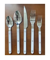 Ensemble de couverts en acier inoxydable écologique de qualité supérieure, manches en résine, 5 pièces, passe au lave-vaisselle, vaisselle, couverts, maison
