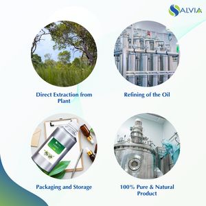 Aceite esencial de Cajeput 100% puro y natural a granel al por mayor con embalaje personalizado a bajo precio - Product Image 4