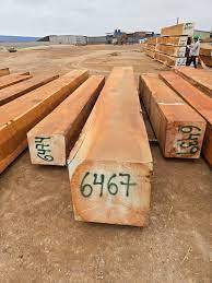 Troncos de Jatoba en venta Troncos de Jatoba de primera calidad Troncos de Jatoba al por mayor - Product Image 2