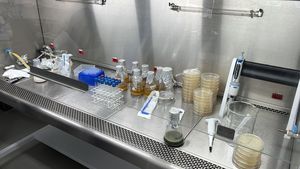 Archaea estrictamente metanogénica anaeróbica (TrueMethan TM, la única con arqueas metanogénicas reales) - Product Image 3