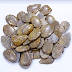 100% Natural Fossil <b>Coral</b> Loose Gemstone Mix Shape and Size Fossil <b>Coral</b> Cabochon Loose Gemstones Lot for Use Jewelry Making - Product Image 1