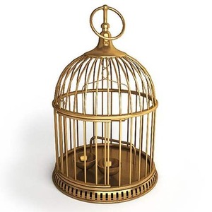 Cage à oiseaux en métal rustique élégante maison d'oiseau suspendue en fer cage à oiseaux décorative durable pour balcon arrière-cour et jardin intérieur - Product Image 4