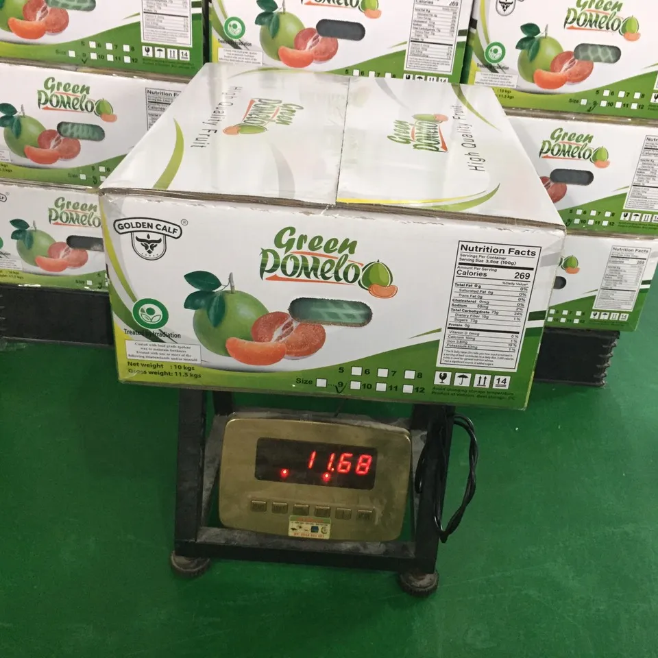 Tươi citrus trái cây màu xanh lá cây bưởi bưởi với trọng lượng 1-1.8 kg/cái Hồng Flesh bưởi từ Việt Nam 0084989322607