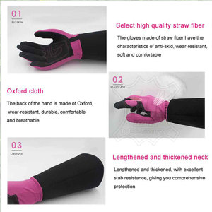 ถุงมือทำสวนป้องกัน Best Design 2025 สำหรับยูนิเซ็กซ์ รับผลิตแบรนด์ส่วนตัว - Product Image 5