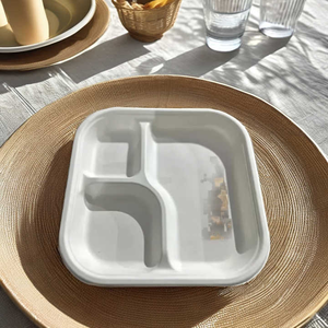 Assiettes écologiques jetables en canne à sucre biodégradables, vaisselle compostable en bagasse pour la consommation quotidienne à prix d'exportation - Product Image 5