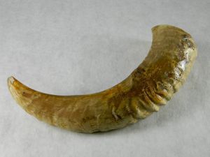 CORNE À BOIRE VIKING PERSONNALISÉE AGATE GRANDE corne de buffle personnalisée VIKING pour boissons corne à boire pour l'occasion de Noël - Product Image 5