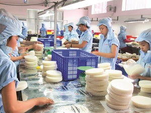 NUEVA COSECHA Rollos de Papel de Arroz Directo de Fábrica del Delta de Vietnam |   Empaque de Grado de Exportación - Product Image 4