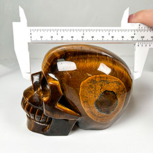 Hoge Kwaliteit Kristal Grote Schedel Ambacht Hand Gesneden Gele Tijgeroog Schedel Menselijk Hoofd Schedel Voor Genezing - Product Image 5