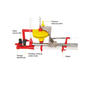 Équipement d'élevage de haute technologie bonne qualité nouvelle conception pour équipement d'élevage de volaille de volaille fabricant du Vietnam - Product Image 5