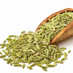 Fenouil aromatique biologique de qualité supérieure pour la cuisine, les tisanes et les recettes traditionnelles, disponible à un prix abordable - Product Image 4