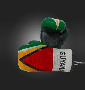 OEM Vente en gros Mini gants de boxe personnalisés Porte-clés Prix d'usine GUYANE Pays Drapeau Voiture Ornement suspendu pour application en extérieur - Product Image 4