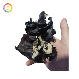 เชื้อราหูเมฆในราคาที่เหมาะสม-ประสิทธิภาพที่เชื่อถือได้สำหรับผู้ใช้ทุกคน - Product Image 6