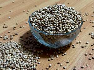 เมล็ดผักชีจากจีนขายดีมาก - Product Image 5