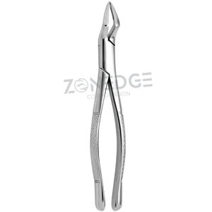 Forceps d'extraction dentaire Forceps de haute qualité Forceps d'extraction restant postérieur supérieur - Product Image 6