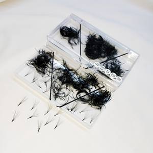 Extensiones de Pestañas de Volumen Completo de Pelo Sintético Pre-fabricadas Personalizadas, 500 Fans, Fácil Aplicación, Empaque para Belleza de Vietnam - Product Image 1