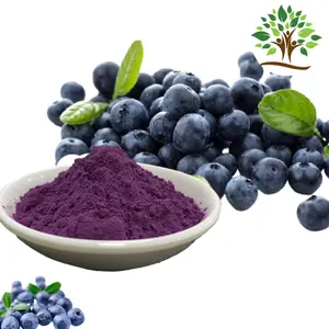 Blueberry chiết xuất