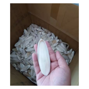 Usine en vrac naturelle d'os de calmar séché, oiseau de perroquet d'OEM et bloc de calcium de reptile - Product Image 3