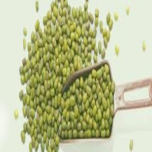 ถั่วเขียวสีเขียวมีความต้องการสูงสามารถส่งออกได้ในราคาถูก - Product Image 5