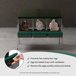 <span class=keywords><strong>Abri</strong></span> à œufs triple compartiment efficace pour <span class=keywords><strong>poules</strong></span> - Product Image 3