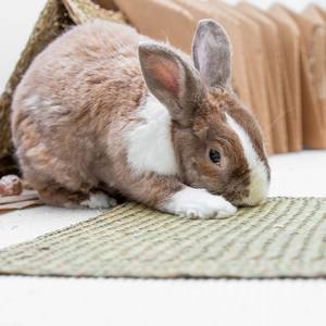 Almohadillas de paja de algas marinas para conejos, tejido de algas marinas, almohadilla de cama para mascotas pequeñas, suministros para conejos de bajo costo - Product Image 5