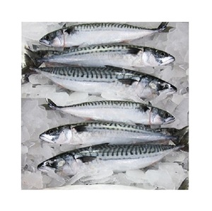Mejor Precio de Fábrica: Pescado Congelado, Caballa Española Entera, en Venta - Product Image 2