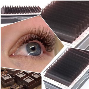 Bandejas de pestañas de color marrón oscuro de alta calidad, base esponjosa de volumen ruso, prefabricadas, kit de extensión de pestañas, OEM personalizado, venta al por mayor - Product Image 6