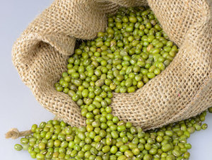 Frijoles Mung Frescos de Bélgica - Product Image 3