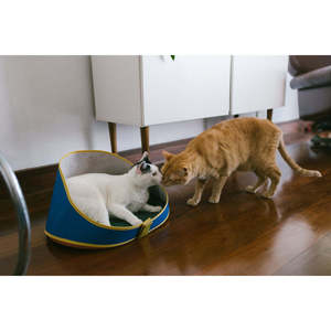 Polo Cat <b>Bed</b> Modern Collapsible Cat <b>Cave</b> Oxford Fabric Removable Pet <b>Bed</b> XL Size for <b>Dogs</b> Wicker Rattan Stylish Fashionable - Product Image 6