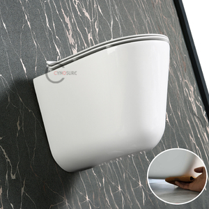 Inodoro Compacto de Estilo Nórdico, Suspendido en la Pared, de Porcelana, con Descarga de Sifón Tornado, Ahorro de Espacio para Baños de Apartamentos Pequeños - Product Image 1