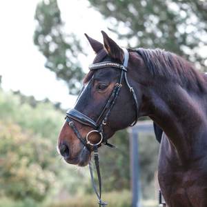 Amalfi Black Snaffle Brevet/Bronze sparkle piping HORSE Comfort BRIDLE Fancy Decorative Anatomical Horse Bridle smart - Product Image 4