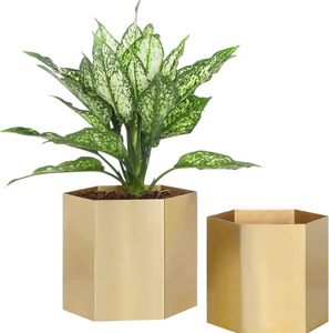 Vente en gros de jardinière décorative hexagonale en métal doré pour restaurant, maison, mariage à bas prix - Product Image 5