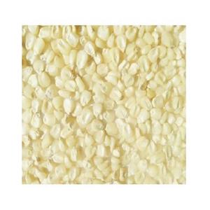 Maíz blanco sin OGM dulce y fresco para consumo humano estilo seco disponible para envío global rápido - Product Image 6