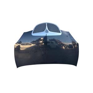 CAPÓ DELANTERO LANCIA Ypsilon 1ª Serie 51872629 (03>06) - Product Image 1