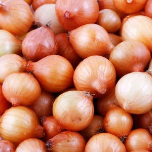 <b>Fresh</b> Organic Golden Quality Grade <b>Onions</b> - Product Image 1