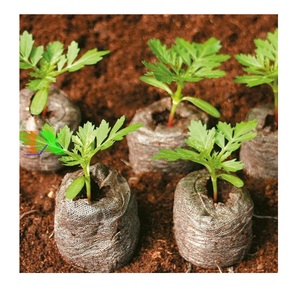 Vente chaude du Vietnam granulés de coco coco bouchons de tourbe de coco pour la culture de graines plantes fleurs au meilleur prix - Product Image 5