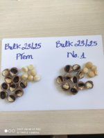 [Fournisseur fiable] Noix de macadamia de qualité supérieure au meilleur prix d'origine vietnamienne + 84 363 565 928