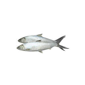 Pescado Congelado de Alta Calidad BQF 1kg, Grado Superior, Bajo en Carbohidratos, Libre de Grasas Trans, 4-6cm - Product Image 3