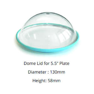 Tapa de Plástico Transparente de 5.5 Pulgadas para Sushi, Grado Alimenticio, para Bebidas y Empaque de Comida para Llevar - Product Image 2