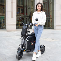 Tricycle électrique à deux places haute vitesse 250W, scooter électrique pliable à 3 roues pour adultes