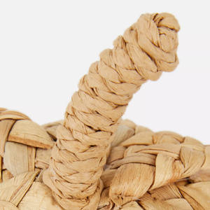 ของตกแต่งบ้านลายดอกผักตบชวาตกแต่งฟักทองฮาโลวีนแบบชนบทฤดูใบไม้ร่วง - Product Image 2