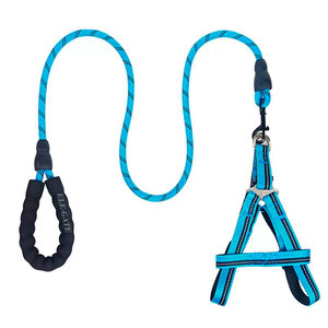 Kit Guinzaglio e Pettorina di Lusso per Cani di Taglia Media, Personalizzabile, in Poliestere a Righe o Tinta Unita, Modello Semplice per Uso Esterno, Taglie Grandi e XL - Product Image 5