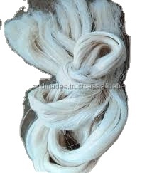 Fibre de varech naturelle coupée en taille 5 mm, issue de varech naturel, idéale pour les usines textiles et les filateurs - Product Image 6