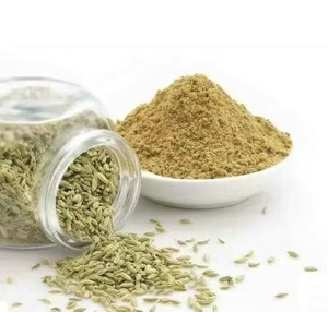 Poudre de Fenouil Pure Naturelle, Épice de Fenouil Finement Broyée avec un Arôme Sucré, Goût Frais et Saveur Premium pour la Cuisine - Product Image 2