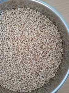 Maíz Deshidratado Sin GMO de Grado Premium para Alimentación de Ganado, Biocombustible y Uso Agrícola, Empacado en Bolsas de 25 kg de Calidad de Exportación - Product Image 3