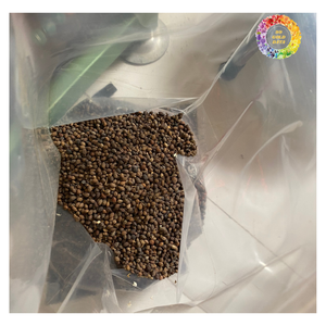 Vente en gros de graines de papaye séchées pour tisane, graines de papaye carica nettoyées séchées | Graines de papaye naturelles pour l'exportation et le vrac - Product Image 3