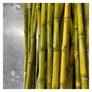 Canne à sucre congelée par 99GD Viet Nam avec un goût sucré croquant naturel Canne à sucre congelée idéale pour la production de jus et l'exportation - Product Image 3